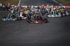 LRN_9810